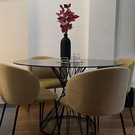 Magnifique Studio. Gare Apartment Geneva